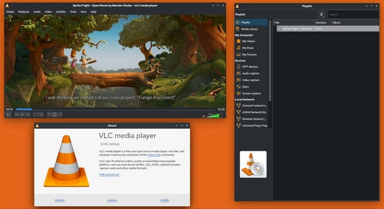 Adobe Flash Player