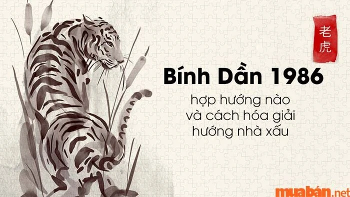 Không gian sống thoáng đãng