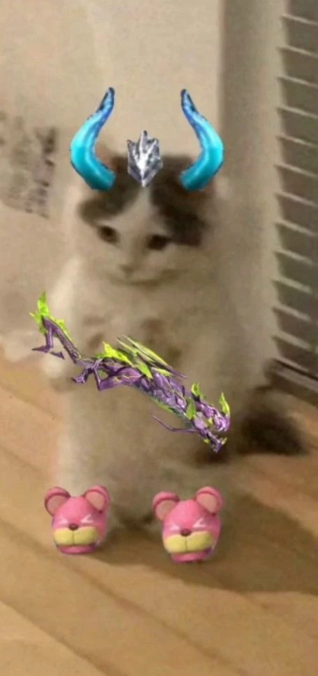 Mèo đang chơi đùa