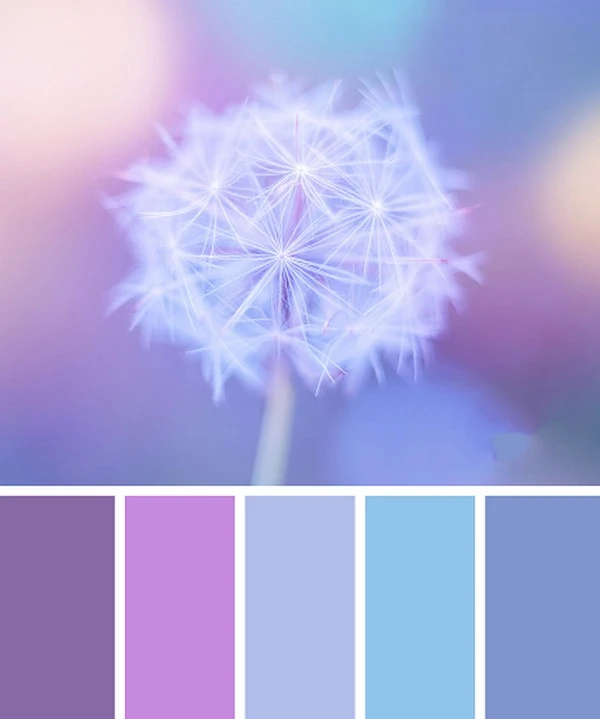 Nội thất tím pastel