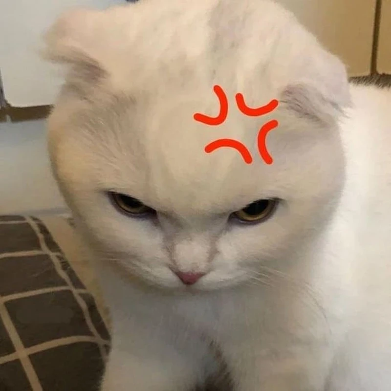 Meme giận dỗi dễ thương