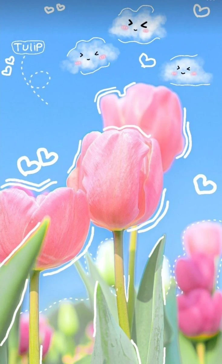Hình nền hoa tulip cute