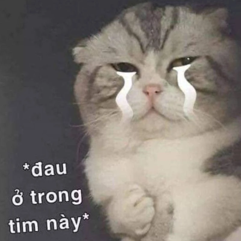 Meme Khóc Thét