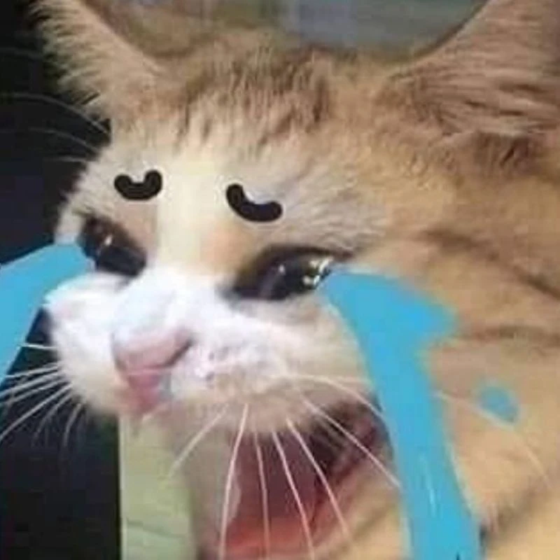 Meme Khóc Thét Hài Hước