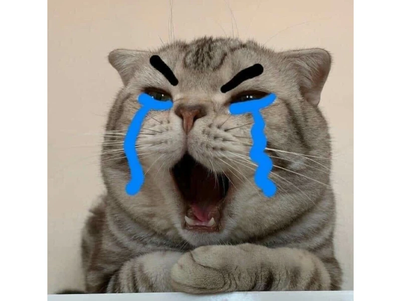 Meme Con Người Khóc Thét