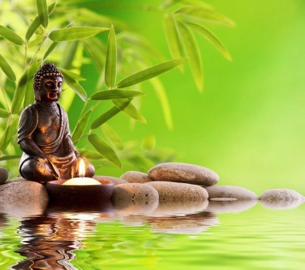 Khám Phá Sự Bình Yên Trong Tâm Hồn