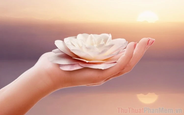 Cải Thiện Quan Hệ Xã Hội
