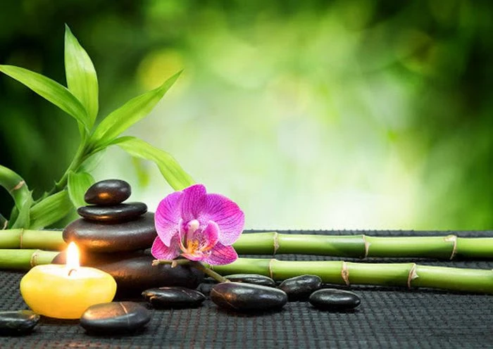 Tham Gia Các Hoạt Động Nghệ Thuật