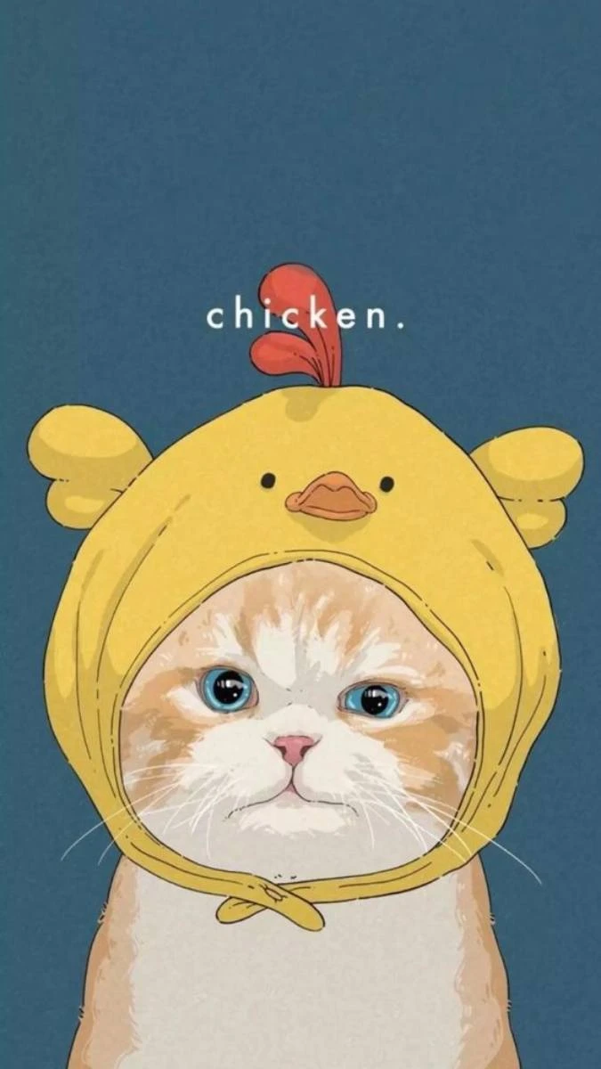 Mèo cute