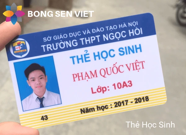 Mẫu thẻ học sinh 8