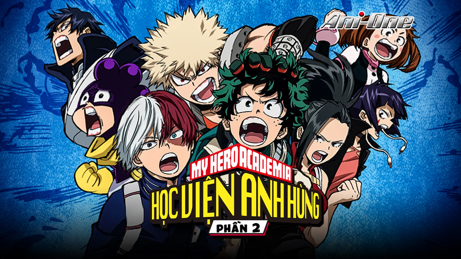 Hình ảnh 4