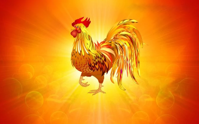 Sự nghiệp tuổi gà