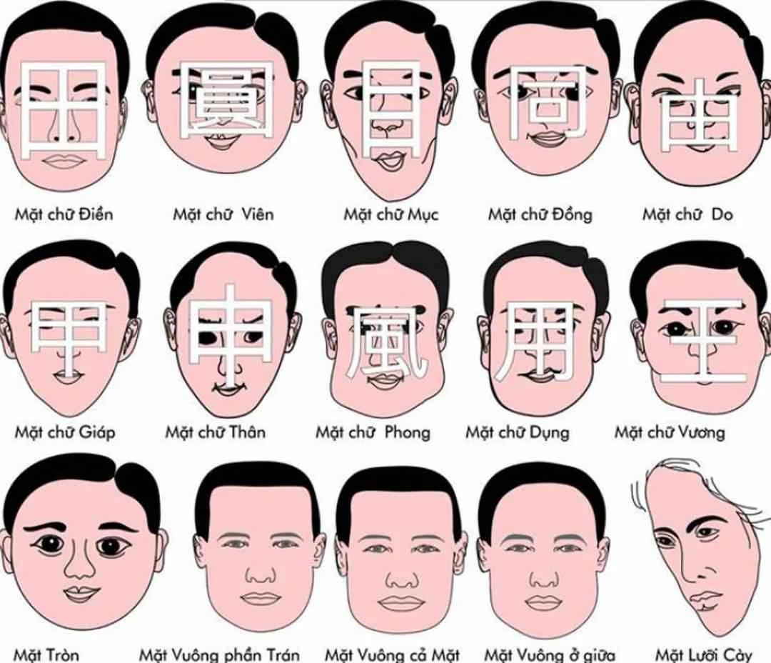 Khám Phá Nghệ Thuật Đọc Tướng Qua Khuôn Mặt