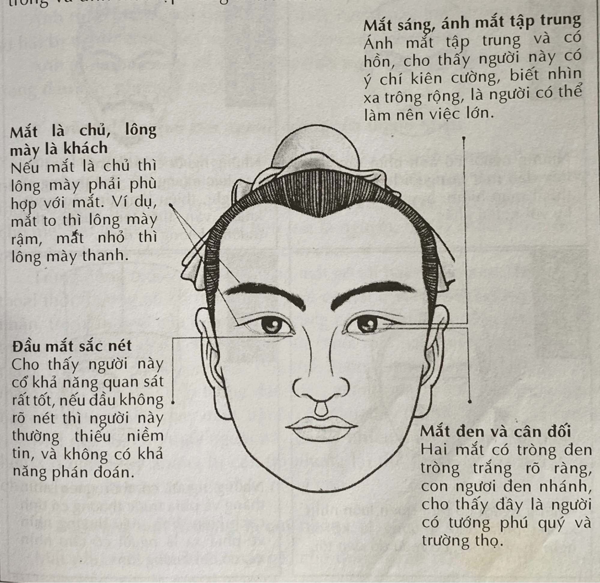 Tính Cách Dựa Trên Hình Dáng Mũi