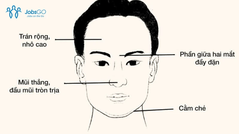 Khám Phá Khuôn Mặt