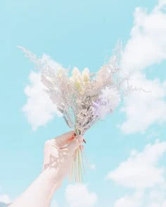 Nghệ thuật trong hình ảnh