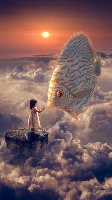 Cá Trong Môi Trường 3D
