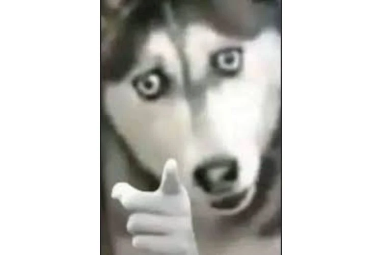 Meme chỉ tay vào màn hình 2