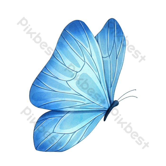 Bướm xanh tuyệt đẹp