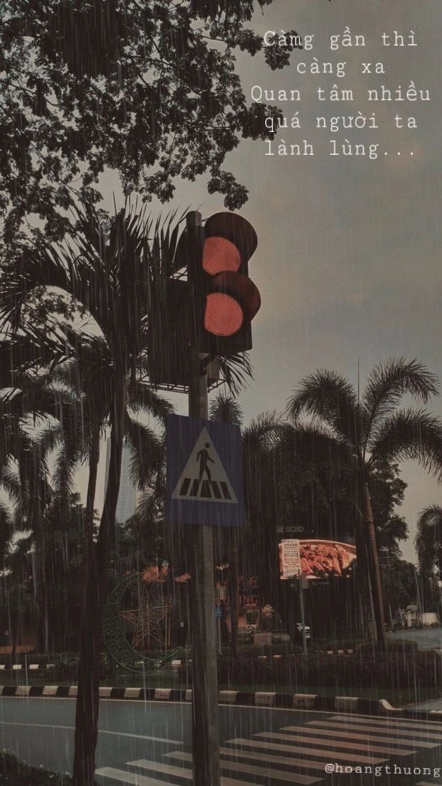 Ảnh minh họa 5