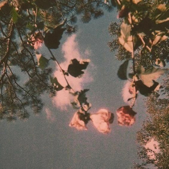 Ảnh vintage phong cảnh đẹp
