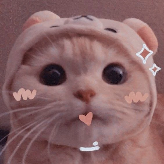 Mèo hoạt hình