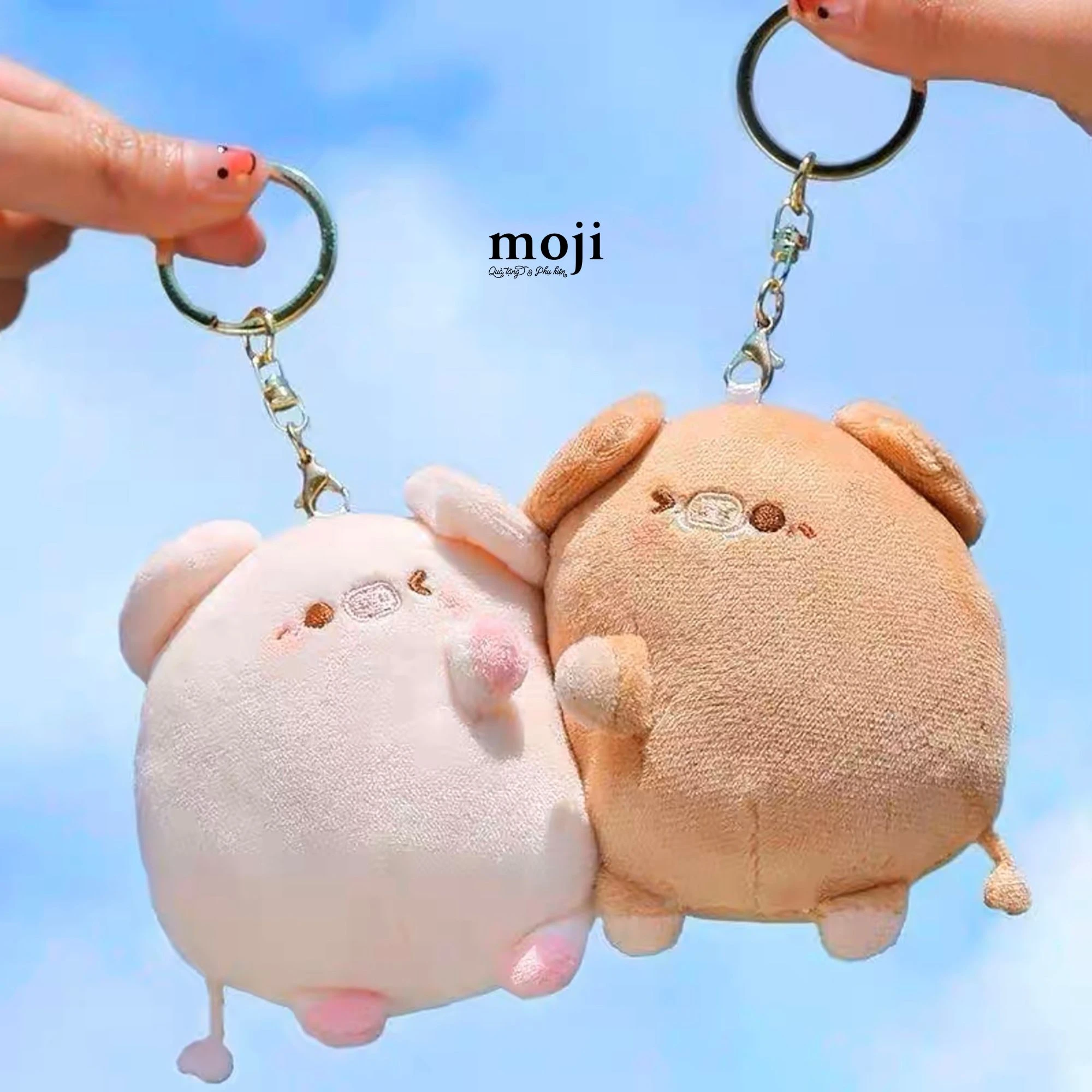 Gấu bông cute