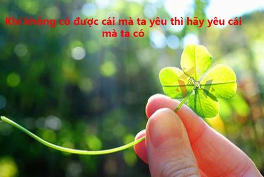 Năng lượng tích cực