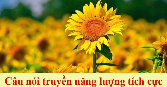 Cảm hứng tích cực