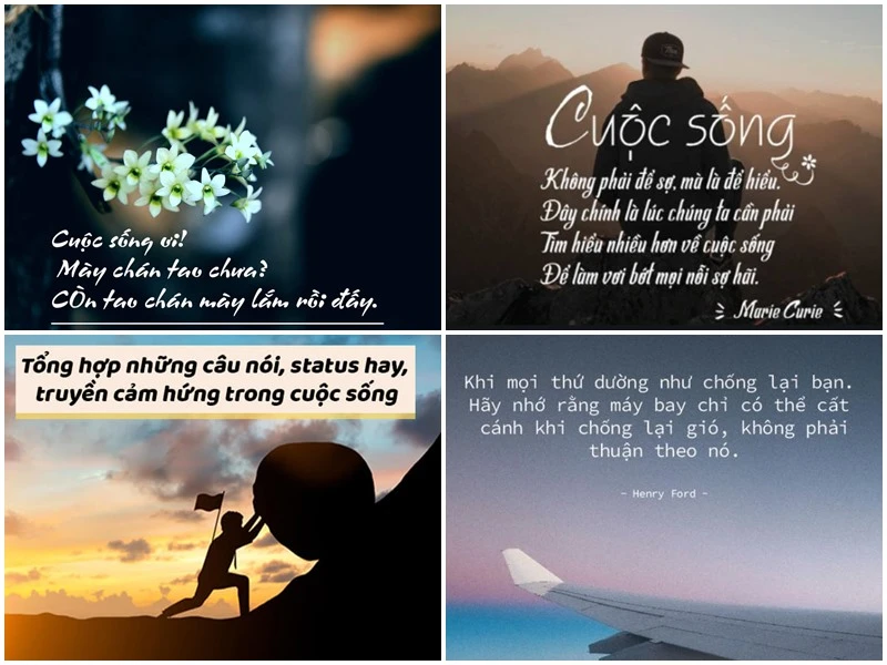 Câu nói hay về cuộc sống