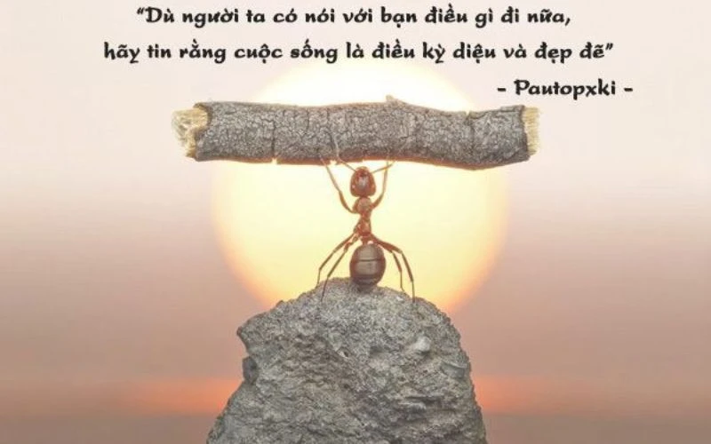 Điều gì khiến bạn vui vẻ?