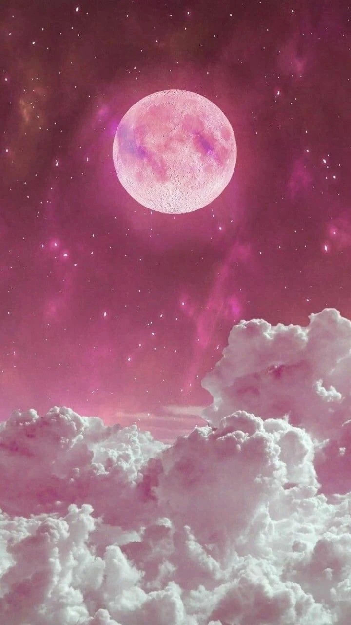 Hình 8