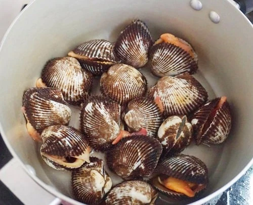 Gỏi sò lông