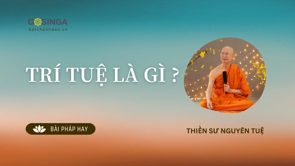 Hình ảnh minh họa về người trí tuệ