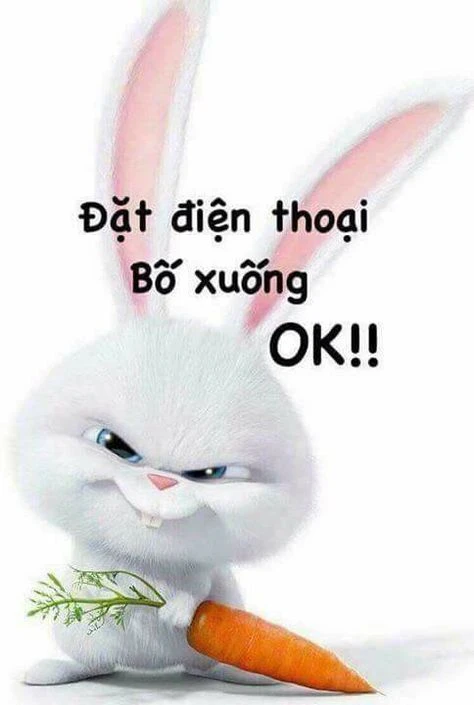 Hình ảnh về sự phát triển của công nghệ
