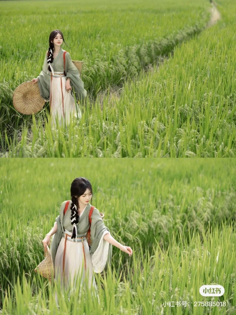 Cánh đồng lúa tuyệt đẹp