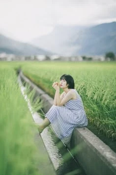 Sử dụng bông lúa làm điểm nhấn