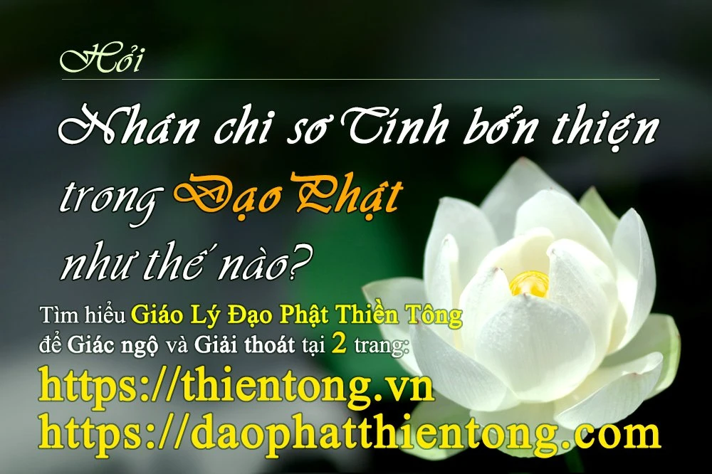 Nhân chi sơ và môi trường