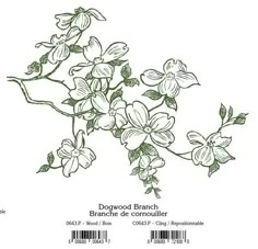 Vẽ hoa nhài bằng màu gouache