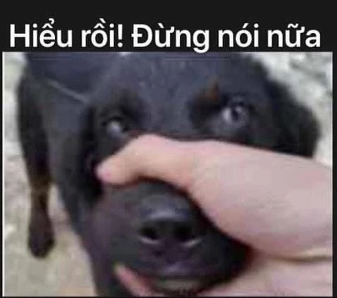 Ảnh Chế Hài Hước