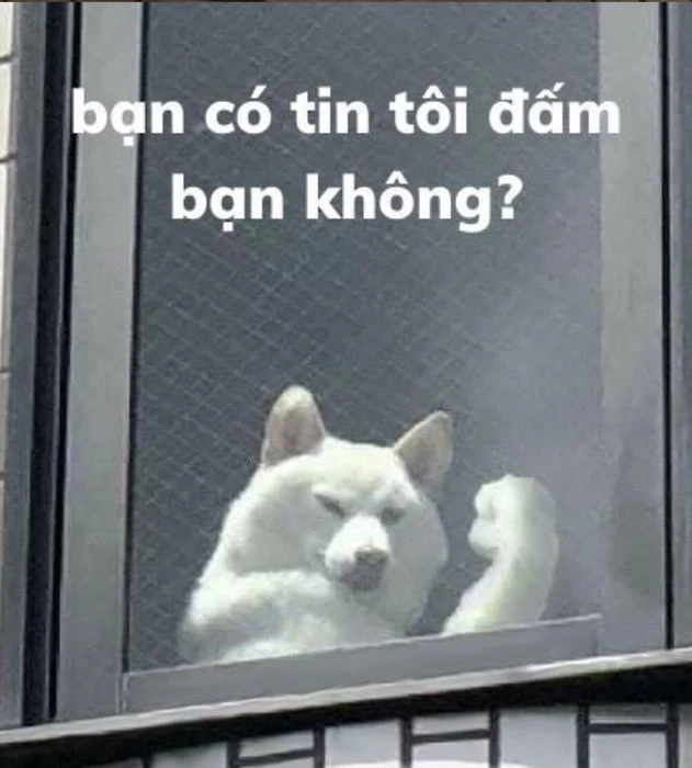 Chó Vui Nhộn