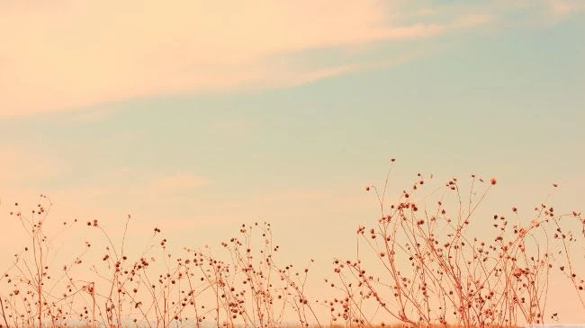 Hình nền đen trắng vintage