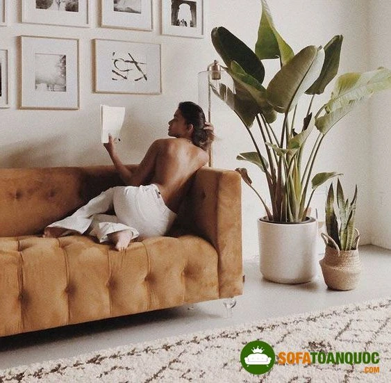 Tư thế nằm trên ghế sofa