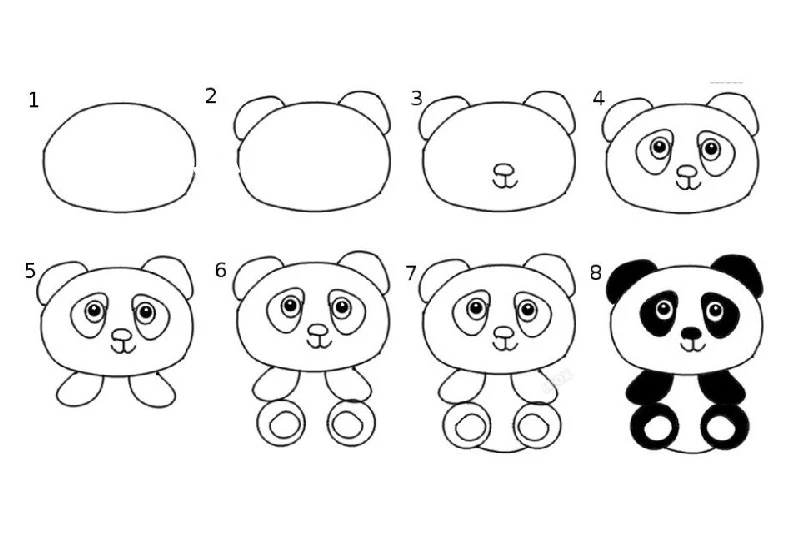 Hình minh họa cho gấu trúc cute