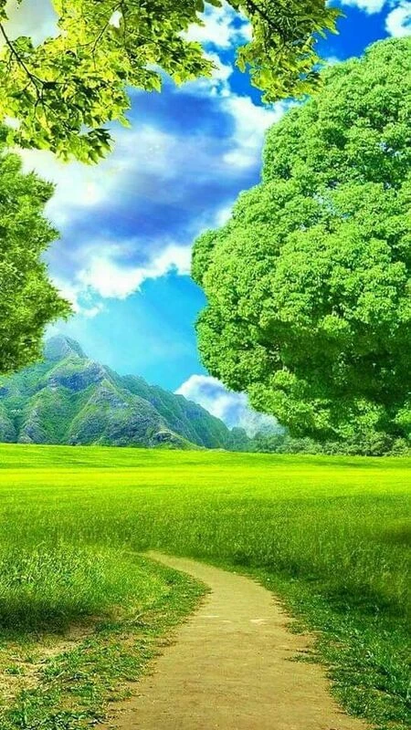 Hình ảnh phong cảnh đẹp
