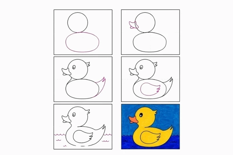 Hướng dẫn vẽ vịt