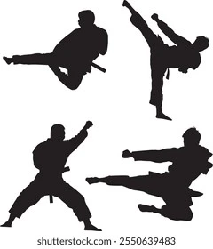 Hình ảnh Taekwondo 2