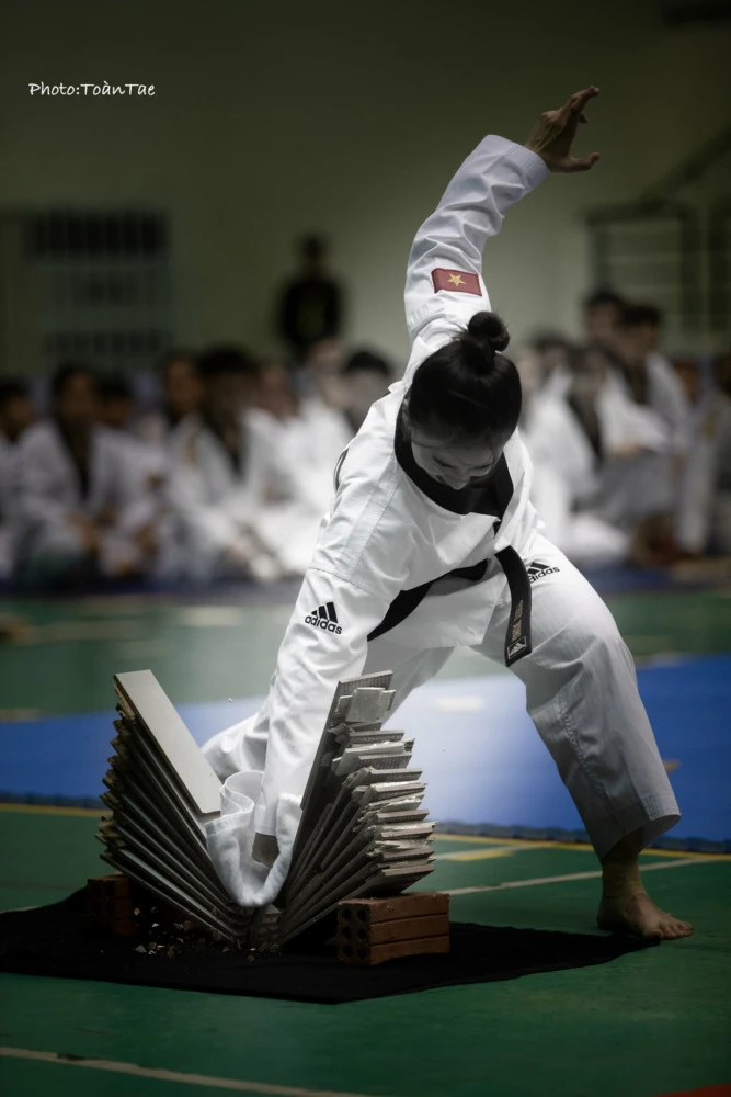 Hình ảnh Taekwondo 6