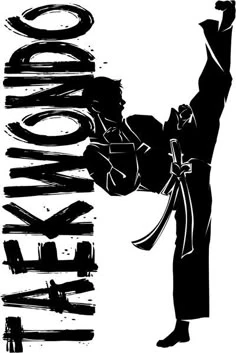 Hình ảnh Taekwondo 8