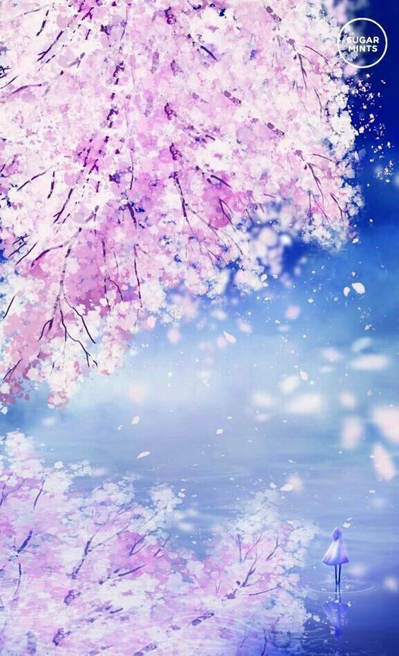 Hình nền hoa anh đào